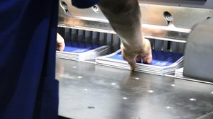 No dia do gráfico, Imprensa Oficial celebra ofício de quem ajuda a disseminar a informação - Bruno Soriano / Ascom Imprensa Oficial