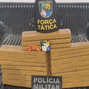 Parte da droga apreendida em operação conjunta entre as PMs de Alagoas e Sergipe - Ascom SSP-AL