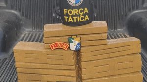 Parte da droga apreendida em operação conjunta entre as PMs de Alagoas e Sergipe - Ascom SSP-AL