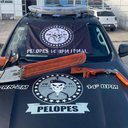 Imagem PM apreende motosserra e arma de fogo em área de mata em Colônia Leopoldina