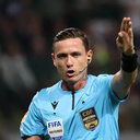 Cesar Greco / Palmeiras