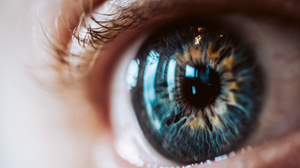 Foto: Reprodução/Freepik