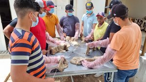 Nova capacitação ocorrerá de 23 a 27 de fevereiro; aulas acontecem no Parque Mair Amaral, em Batalha - Foto: Ascom Seagri