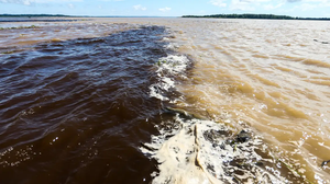 Buscas continuam neste sábado (14); 71 pessoas foram resgatadas - Foto: Agência Brasil