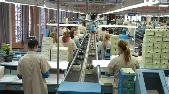 Relatório é obrigatório e prevê multa por descumprimento - Foto: Agência Brasil