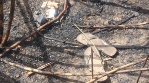 Vestígios encontrados ao redor da ossada podem levar à localização da família - Ascom Polícia Científica