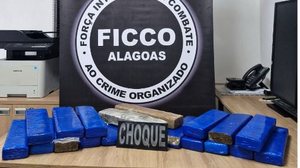 Ação resultou na apreensão de cerca de 20 quilos de maconha em Rio Largo - Foto: Cortesia/PF
