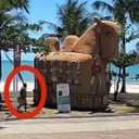 A Guarda Municipal realizou o encaminhamento das imagens à Polícia Civil. - Foto: Semsc