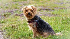 Reprodução/Freepik