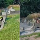 Foto: Reprodução/X