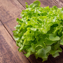 Imagem meramente ilustrativa - Foto: Freepik