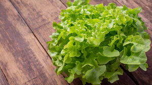 Imagem meramente ilustrativa - Foto: Freepik