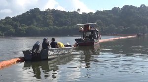 Fundação Grupo Boticário/Reprodução