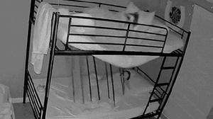 Foto: Reprodução/Redes Sociais