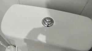 Por que a descarga do vaso sanitário tem um botão grande e um pequeno? - Reprodução / Youtube