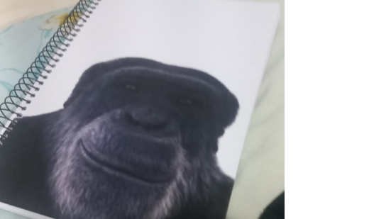 Capa do caderno com a imagem de um chimpanzé