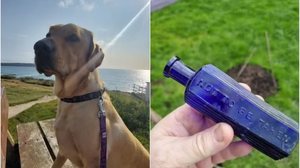 Stanley, um labrador, encontrou a garrafa no jardim de casa - Reprodução/Paul Phillips