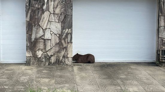 Bruno Protasio/TV Pajuçara