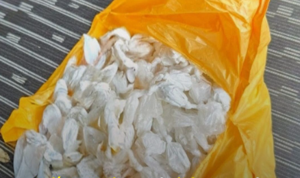 Agentes encontraram 187 trouxinhas de cocaína prontas para comercialização - Foto: Cortesia/PCAL