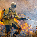 Participam da ação mais de 4,6 mil brigadistas em todo país - Foto: ICMbio