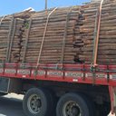 Foto: Reprodução/PRF