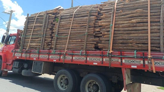 Foto: Reprodução/PRF