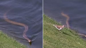 Foto: Reprodução/X