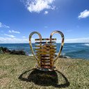 CBF divulga datas e horários dos jogos da Copa do Nordeste - Maurícia da Matta / CBF