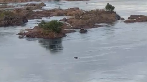 Elian estava com a esposa em um veículo que foi atingido pela correnteza que invadiu a AL-225 - Foto: Cortesia ao TNH1