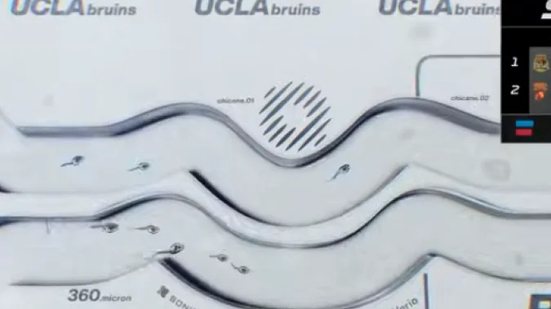 Foto: Reprodução/Redes Sociais