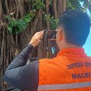 Defesa Civil inicia estudo técnico para avaliar saúde das árvores em praças de Maceió - Luís Eduardo Ramalho / Ascom Defesa Civil Maceió