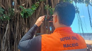 Defesa Civil inicia estudo técnico para avaliar saúde das árvores em praças de Maceió - Luís Eduardo Ramalho / Ascom Defesa Civil Maceió