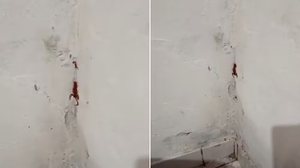 Foto: Reprodução/Redes Sociais