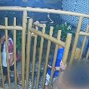 Reprodução / TV Globo