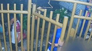 Reprodução / TV Globo