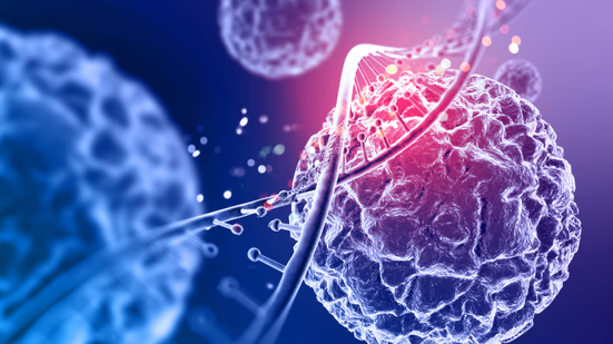 Foto: Reprodução/Redes Sociais