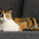 Imagem meramente ilustrativa - Foto: Freepik