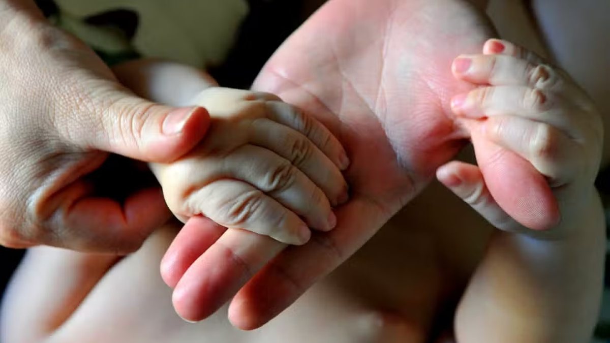 Licença\u002Dpaternidade ampliada: veja o que muda e os próximos passos após sanção de Lula