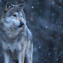 Imagem meramente ilustrativa - Foto: Reprodução/Freepik