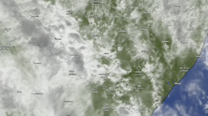 Reprodução / Windy