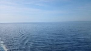 Reprodução/Rede Social