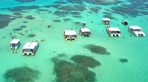 Imagem Passeio irregular na APA Costa dos Corais: MPF entra com ação contra operador de turismo