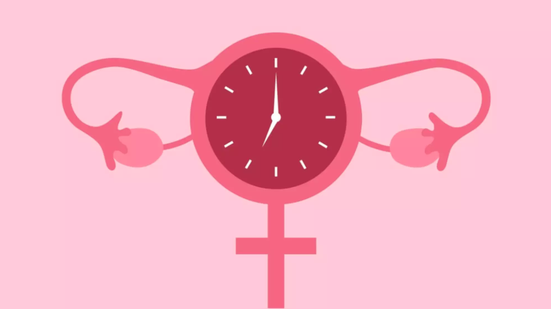 Blueastro | Shutterstock / Portal EdiCase