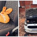 Um veículo e drogas foram apreendidos em posse do suspeito - Foto: Reprodução/PC-AL