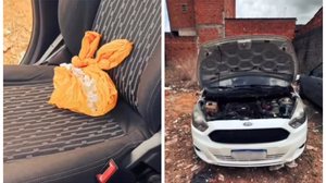 Um veículo e drogas foram apreendidos em posse do suspeito - Foto: Reprodução/PC-AL