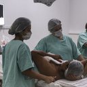 Imagem Mutirão do Ministério da Saúde atende mulheres neste fim de semana em AL e outros estados