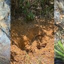 Imagem Corpo encontrado em Milagres pode ser de um dos 18 desaparecidos da região, diz delegado