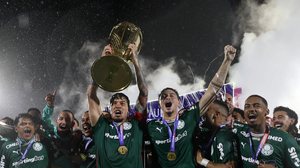Palmeiras é campeão paulista pela 27ª vez com vitória sobre o Novorizontino - Divulgação / Palmeiras