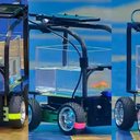 Imagem Peixe 'dirige' carro por mais de 12 metros e entra para o Guinness