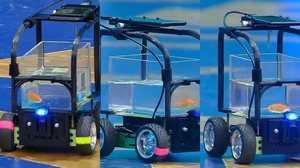 Imagem Peixe 'dirige' carro por mais de 12 metros e entra para o Guinness